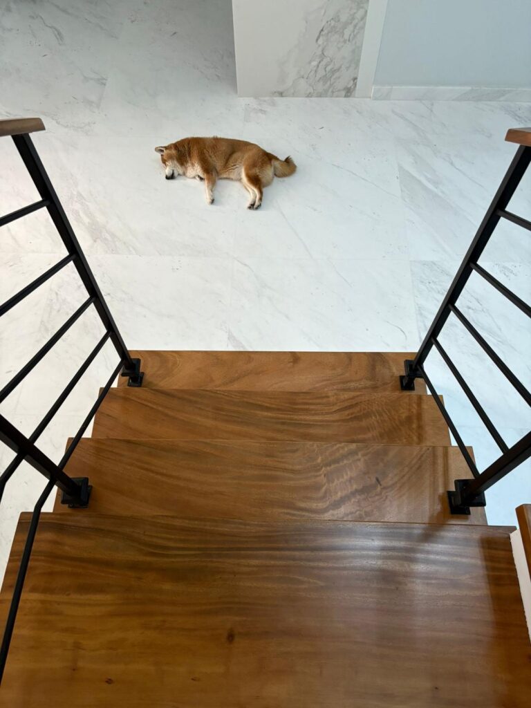 staircase-handrail (2)