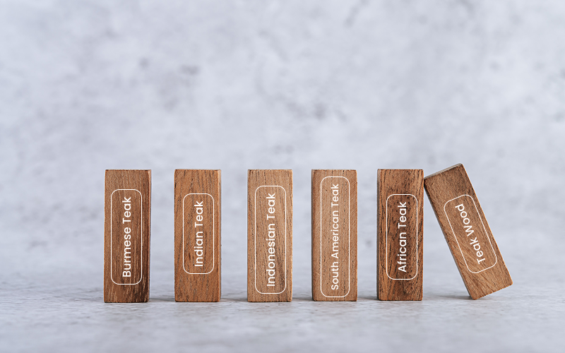 Wood Capitol live edge teak wood table Blocks of wood comparing different regional types of teak.
